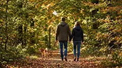 Caminhar 15 minutos seguidos pode valer mais do que 5.000 passos espalhados ao longo do dia