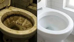 Sem cheiro de esgoto ou urina: dicas para eliminar odores do banheiro em cinco minutos