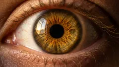 Olhos azuis: porque parecem azuis se não existe pigmento azul na íris