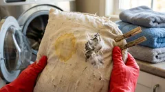 Almofadas de penas murchas? Guia simples para lavar e secar sem grumos