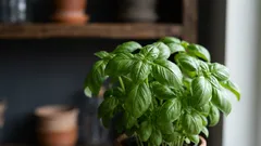 Como montar uma horta interior em casa e ter ervas aromáticas frescas todo o ano